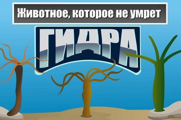 Кракен сайт в тор браузере ссылка