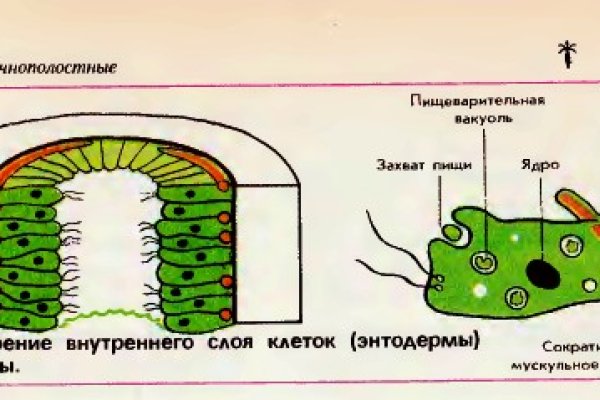 Мега кракен