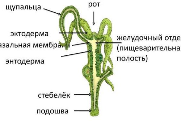 Кракен сайт 13at