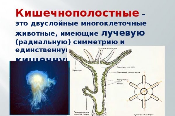 Kraken ссылка kraken014 com